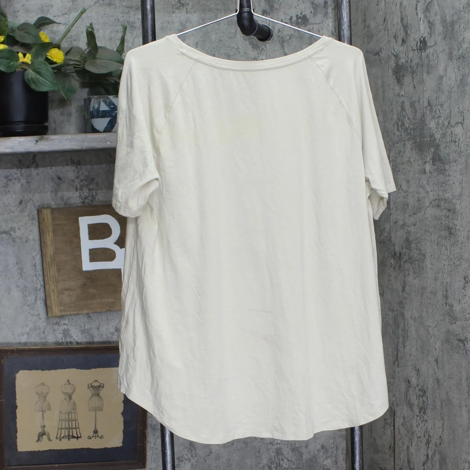 Anybody Womens Knit Short Sleeve A-Lined Oversized Shirt Tan Brown L
