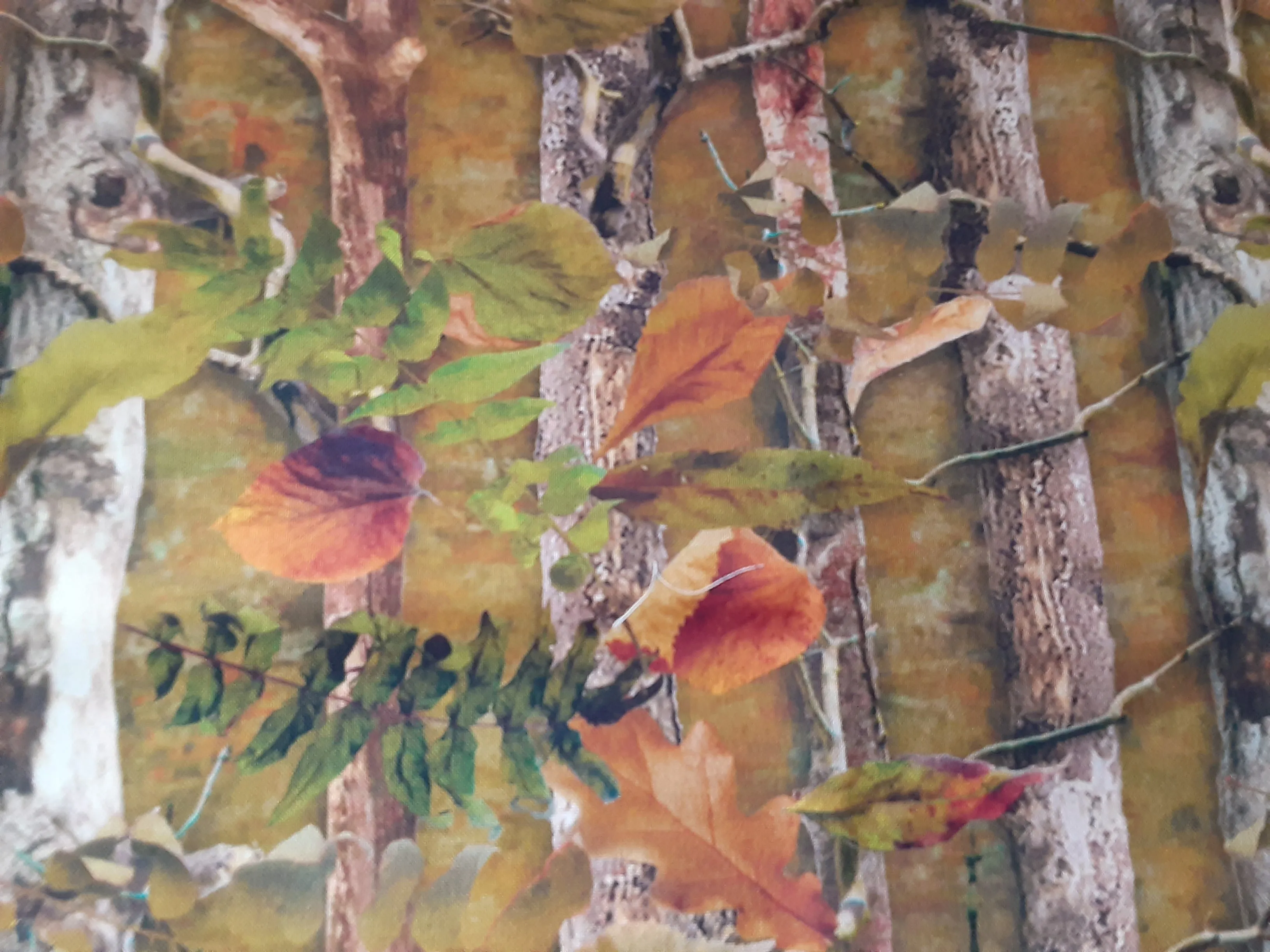 Camo Trees Book Holder/Cover