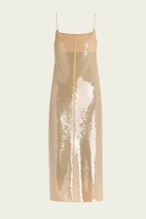 Danielle Dress in Clear