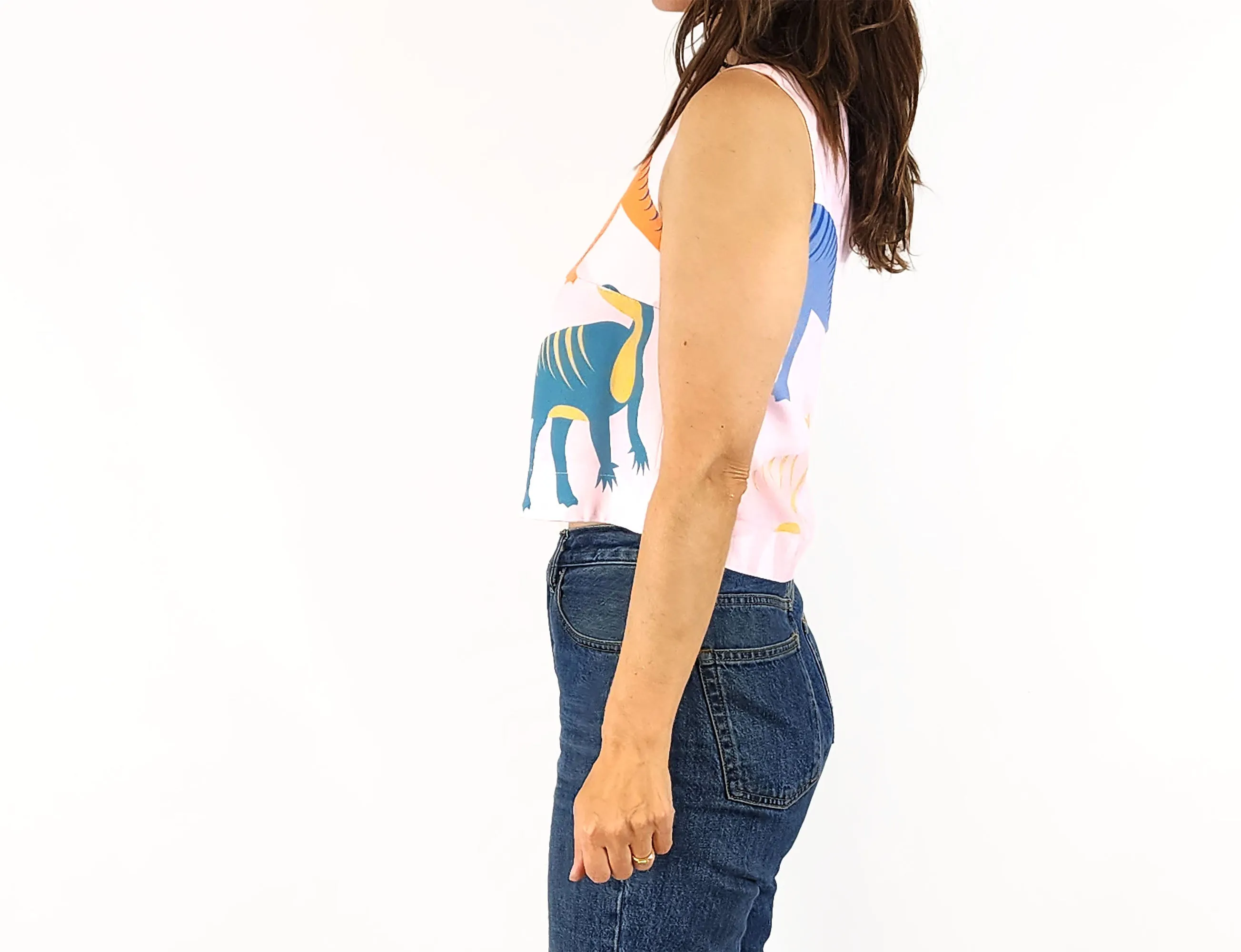 Jericho Road pink dinosaur top size 8