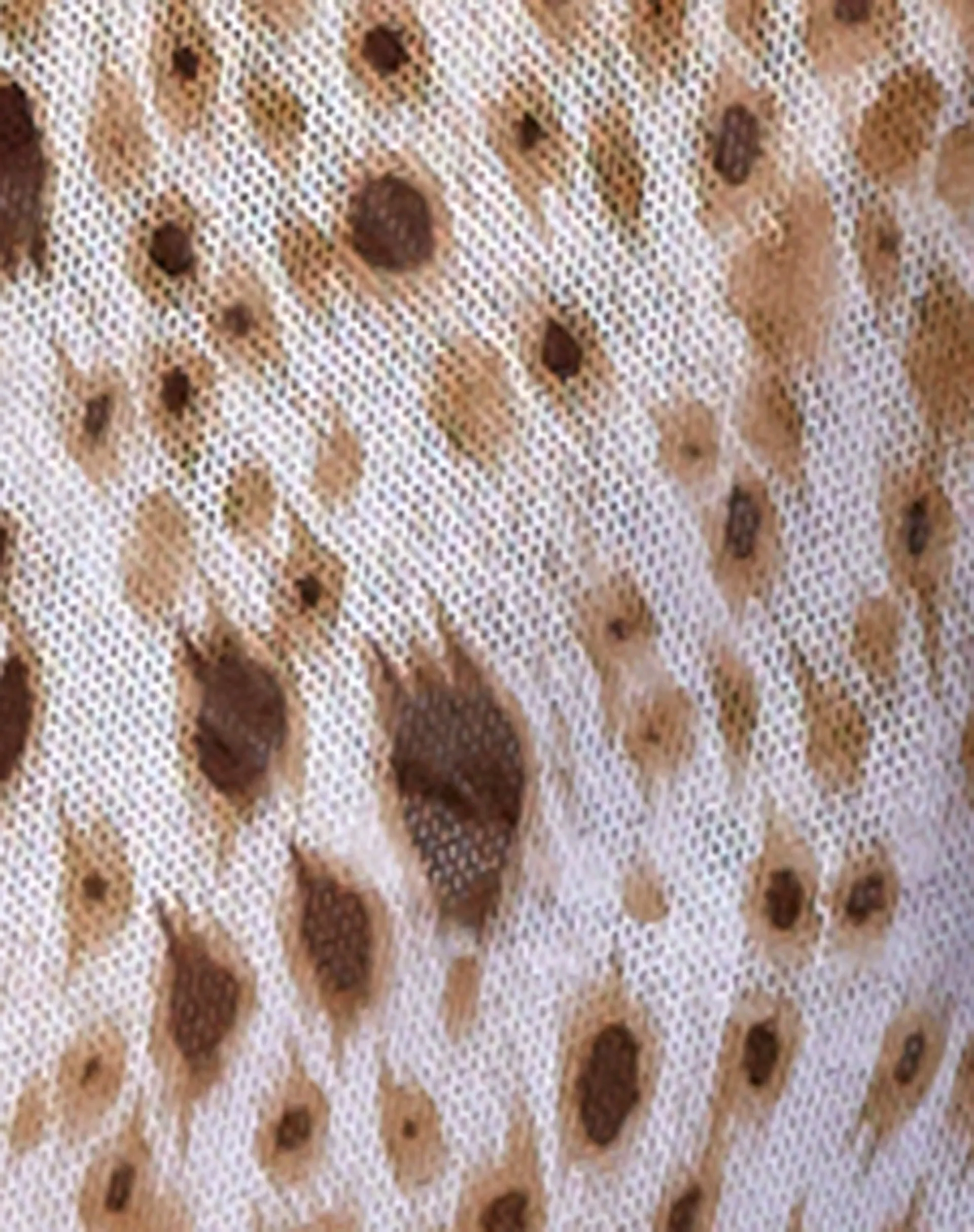 Pao Sarong in Sand Leopard