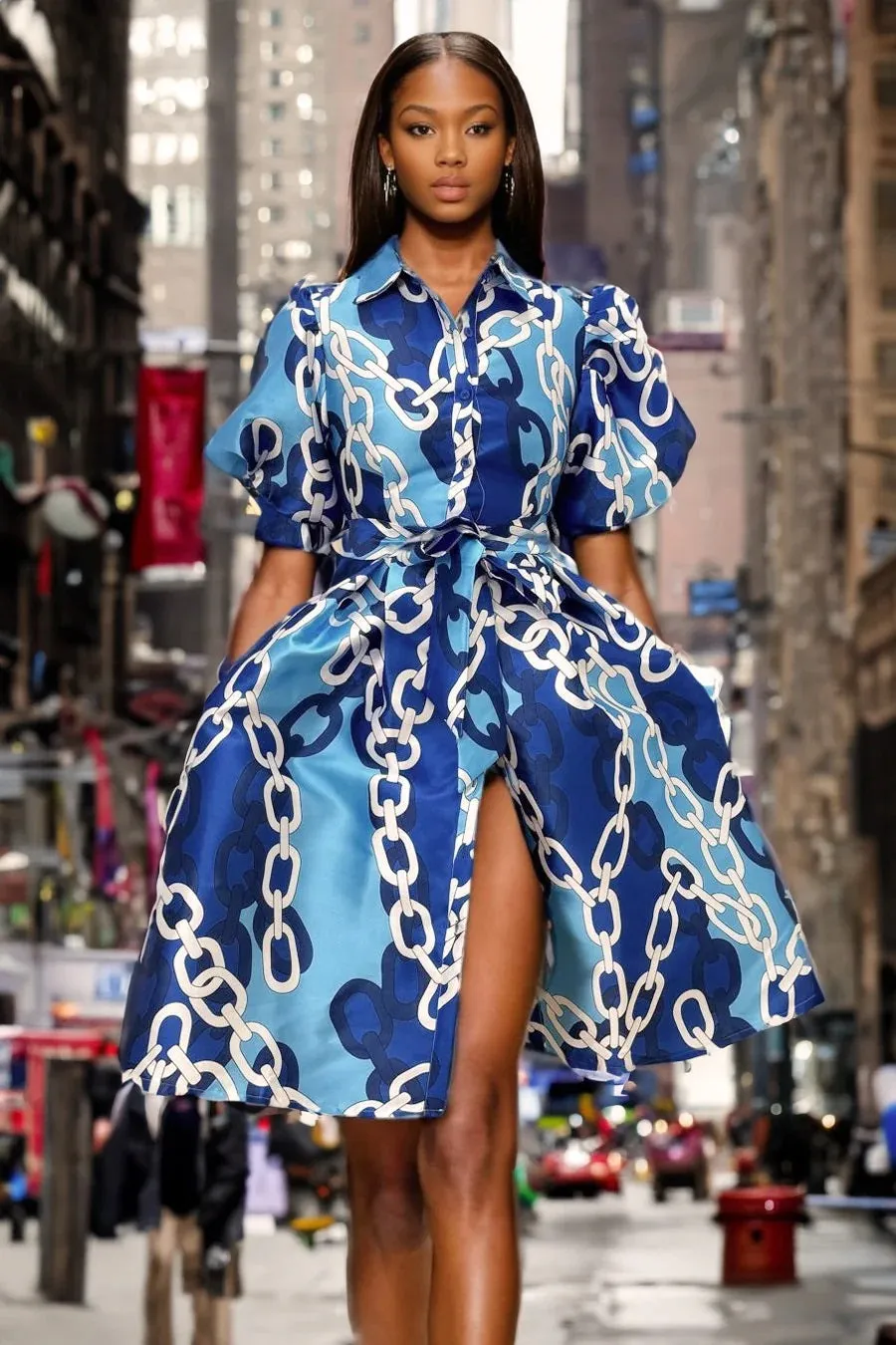 Print Puff Sleeve Dress